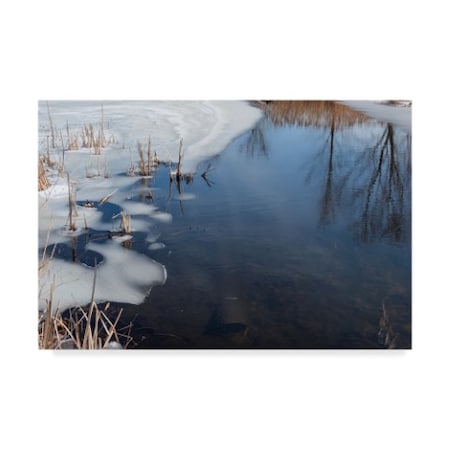 Anthony Paladino 'Ice And Reflections On Pond' Canvas Art,12x19